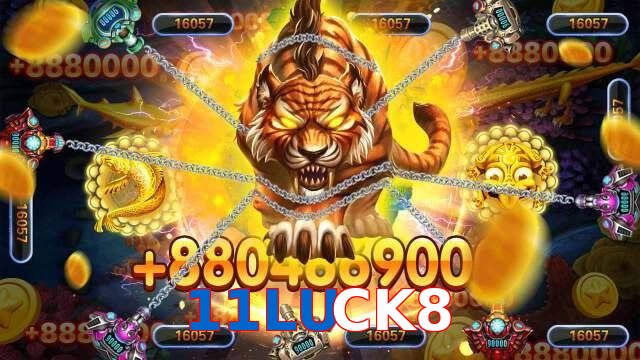 11LUCK8